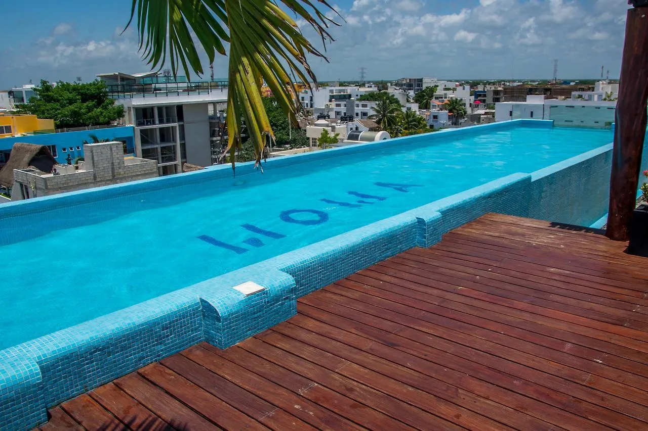 Luxury Apartment At Moma 42 Playa Del Carmen